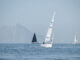Flota en Sotogrande frente a Gibraltar